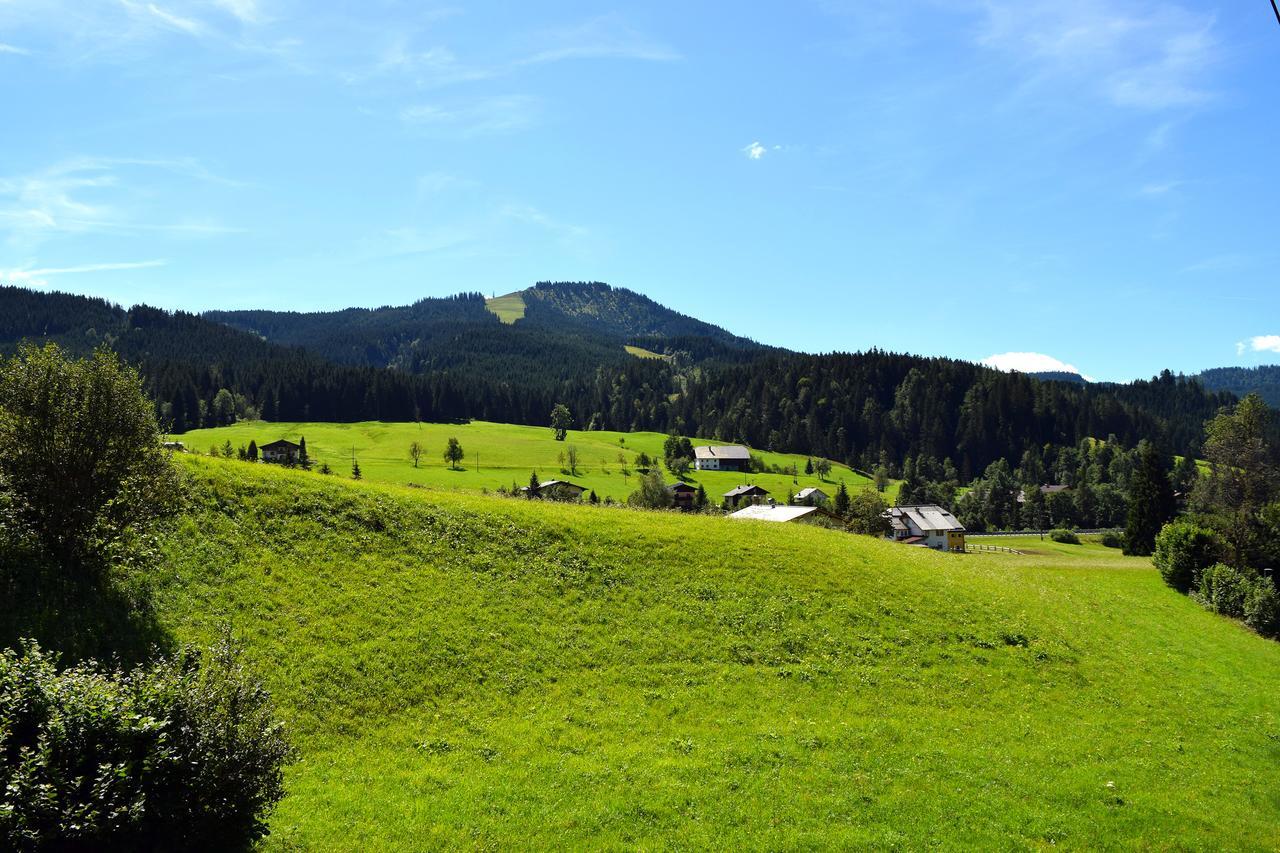 Hotel Kronenhirsch Russbach am Pass Gschuett Luaran gambar
